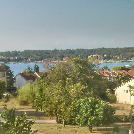 Novigrad IstriaDelfin公寓 外观 照片