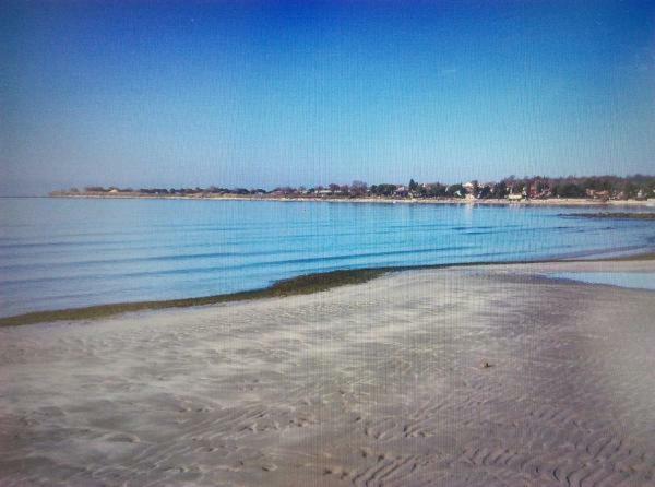 Novigrad IstriaDelfin公寓 外观 照片