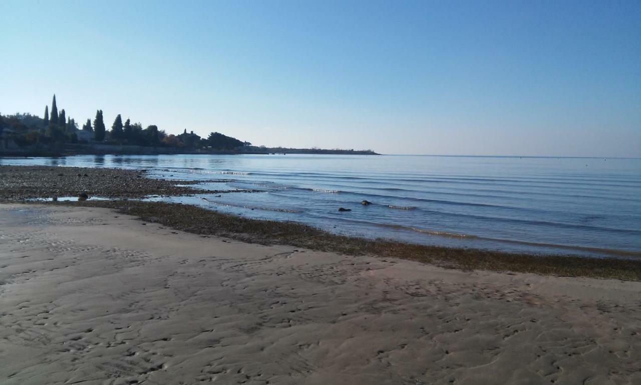 Novigrad IstriaDelfin公寓 外观 照片