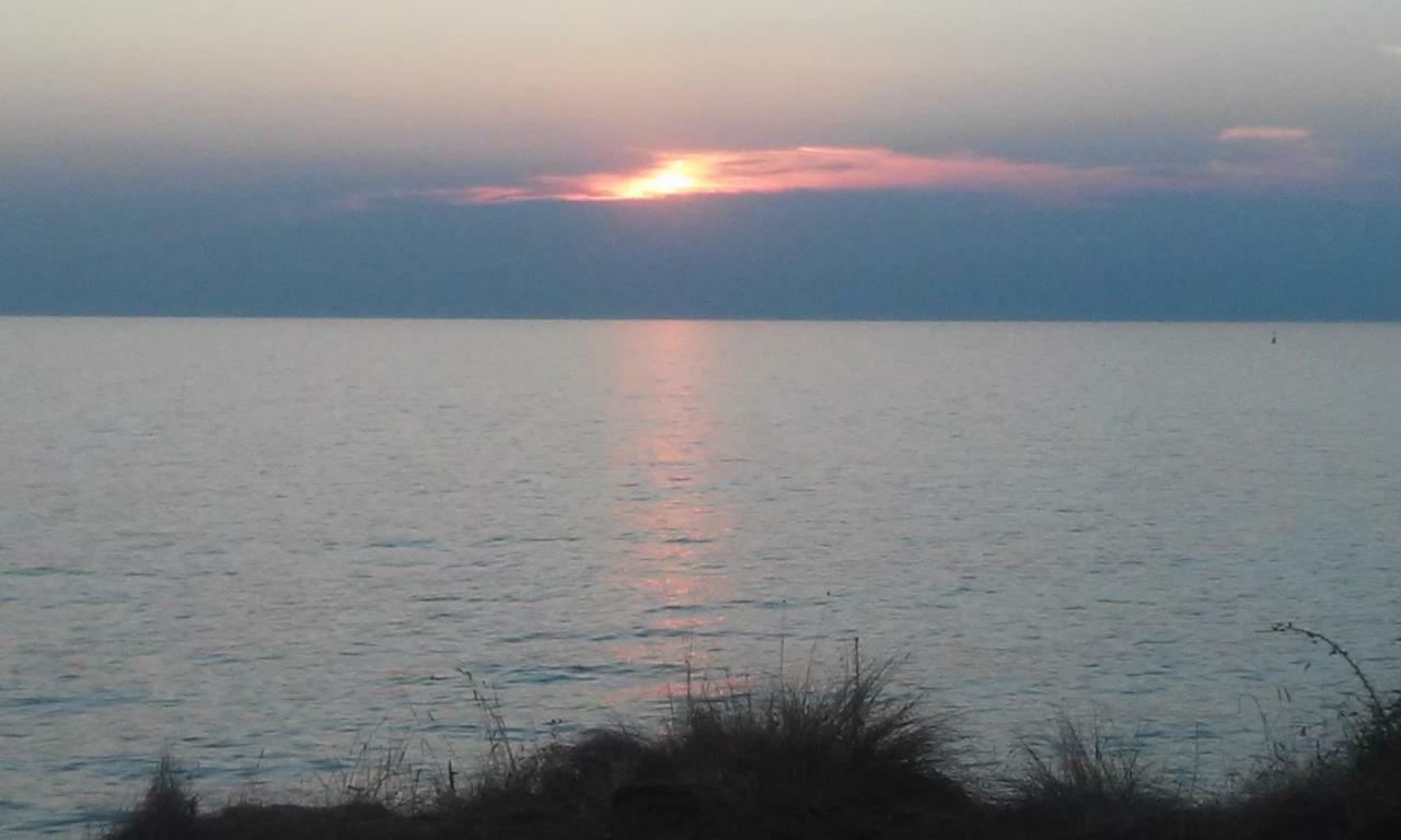 Novigrad IstriaDelfin公寓 外观 照片