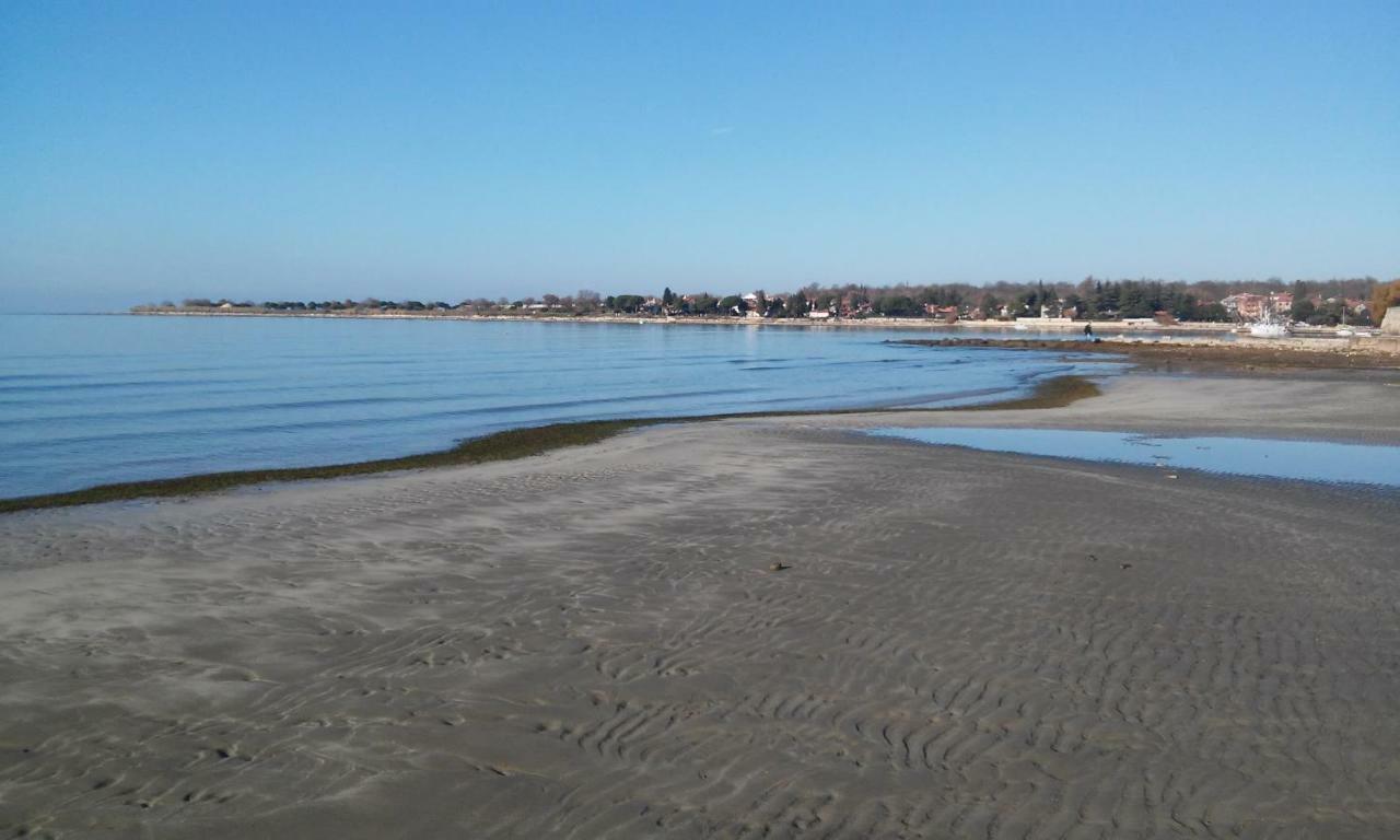 Novigrad IstriaDelfin公寓 外观 照片