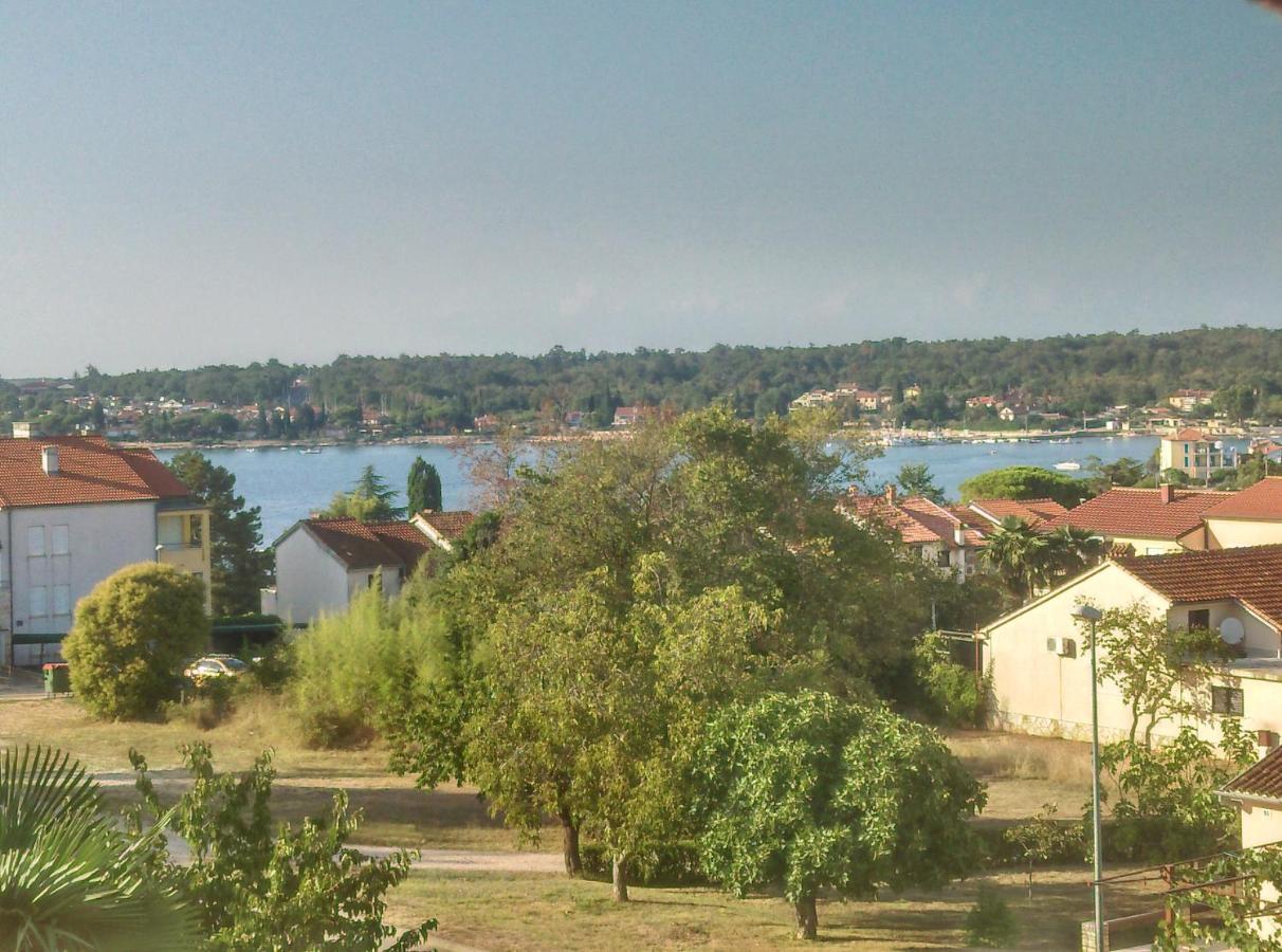 Novigrad IstriaDelfin公寓 外观 照片
